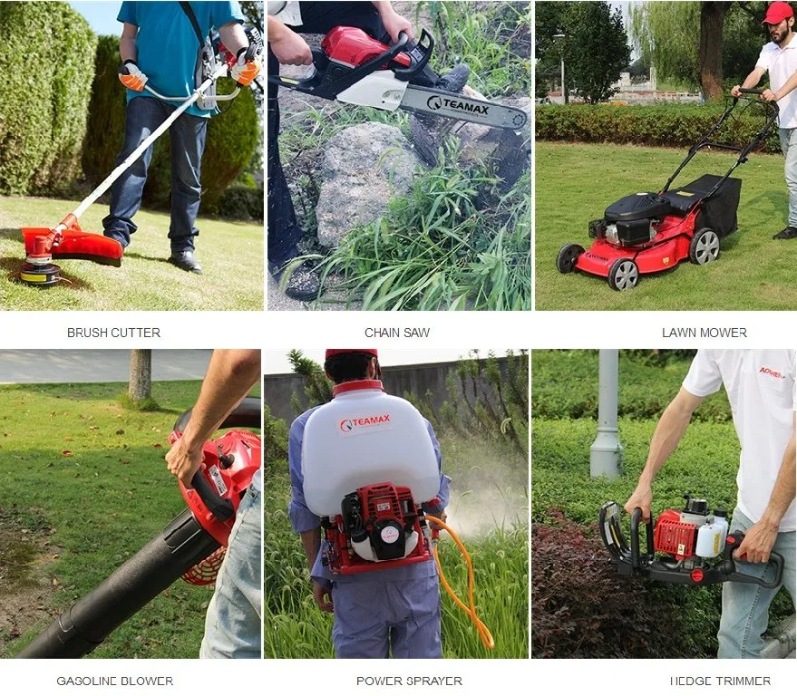 0.65kw Hedge Trimmer with Strict Quality Control TM-Ht230T
