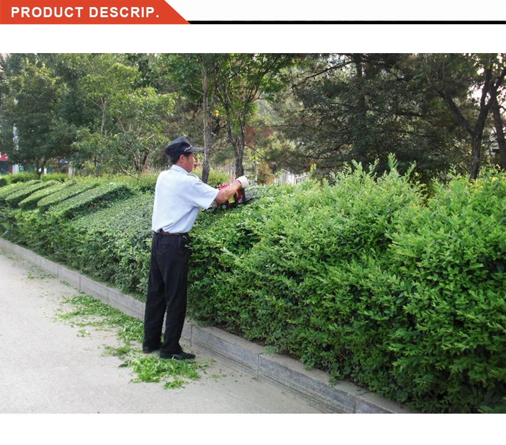 Hot Sell Professional Bush Pruning Tool High Quality 23.6cc Petrol Hedge Trimmer
