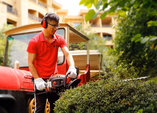 23cc Double Edge Petrol Hedge Trimmer with Great Performance
